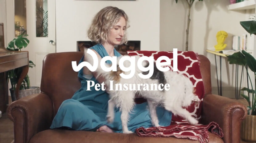 Waggle: Pet Insurance